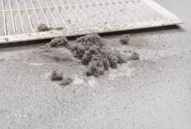 Best Professional Duct Cleaning Services  in Crouch Mesa, NM