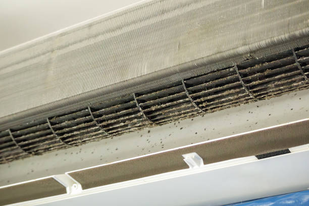 Best Affordable HVAC Duct Cleaning  in Crouch Mesa, NM